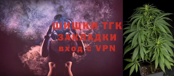дурь Краснослободск