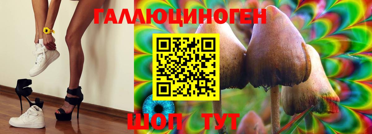 Псилоцибиновые грибы прущие грибы  сколько стоит  Тюмень  Вход с VPN 